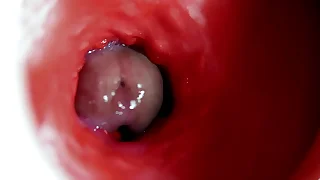 6008 big cock porn videos